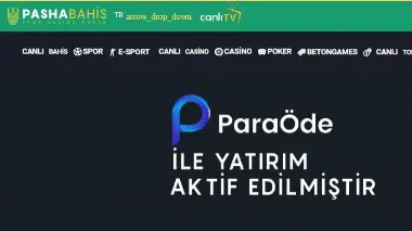 Pashabahis Yeni Giriş Adresi , Pashabahis20.com